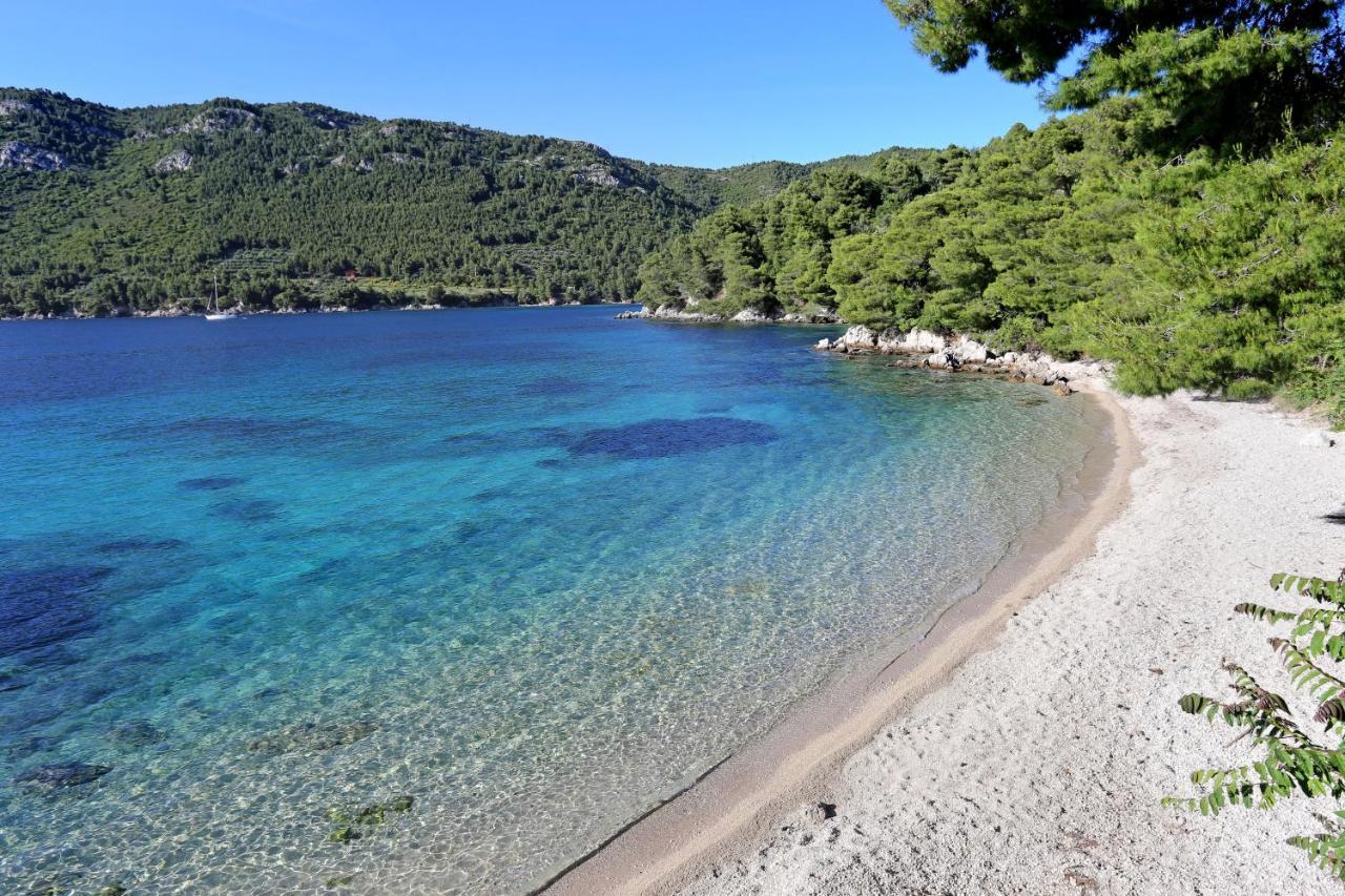 Apartments By The Sea Zuljana, Peljesac - 19080 Exteriér fotografie